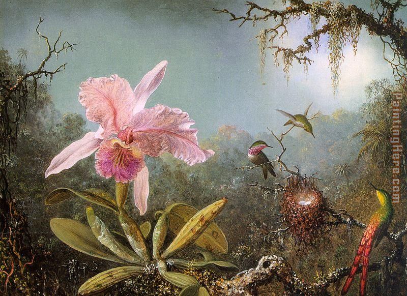 Cattelya Orchid and Three Brazilian Hummingbirds painting - Martin Johnson Heade Cattelya Orchid and Three Brazilian Hummingbirds art painting